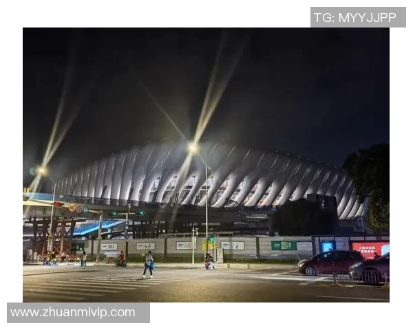 深圳羽毛球队精英赛背后的奋斗故事与荣耀历程揭秘 深圳羽毛球队精英赛背后的奋斗故事与荣耀历程揭秘