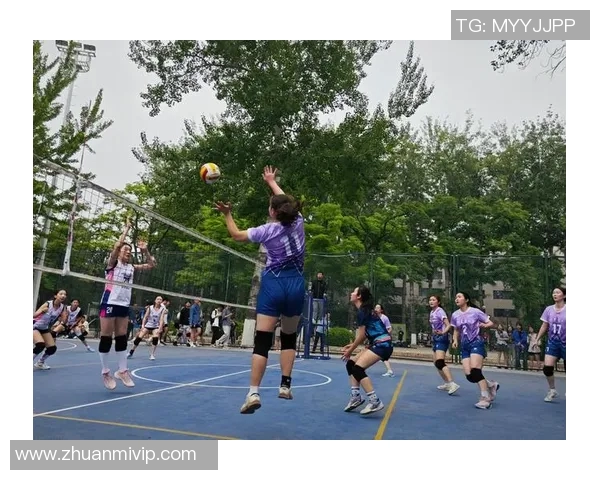 南京排球队实力强劲荣登全国第八名展现出色竞技水平与团队合作精神